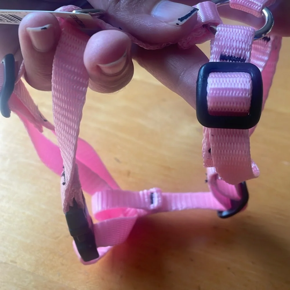 Lupine Roman Harness 1/2in 9-14”
